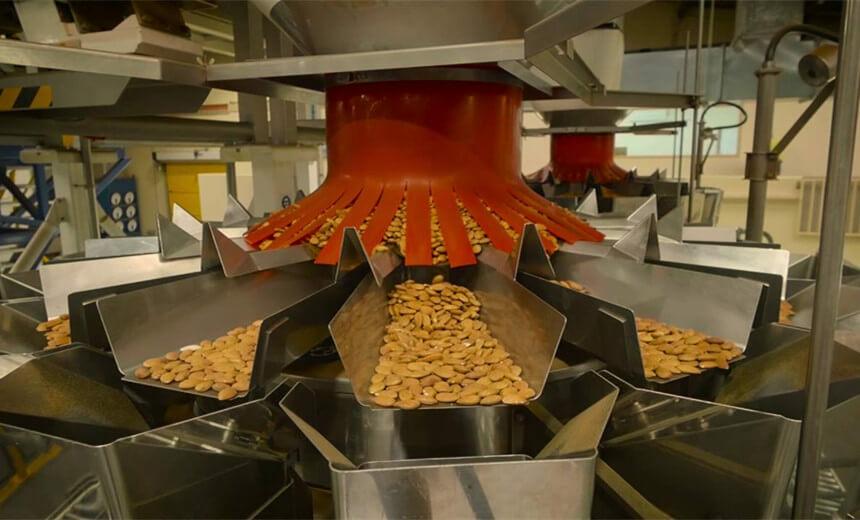 the production of nuts in australia