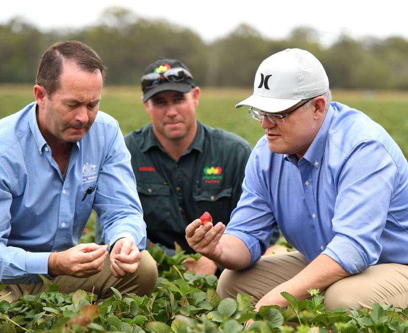 workers stuck in australia