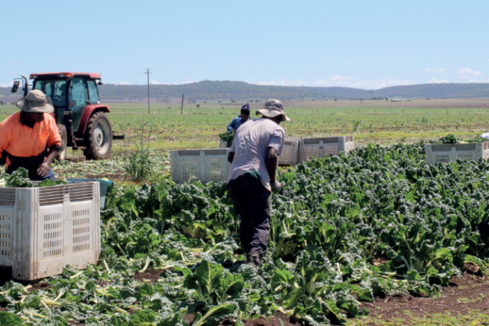 workers are not able to return home