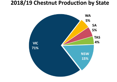 chestnut production by state
