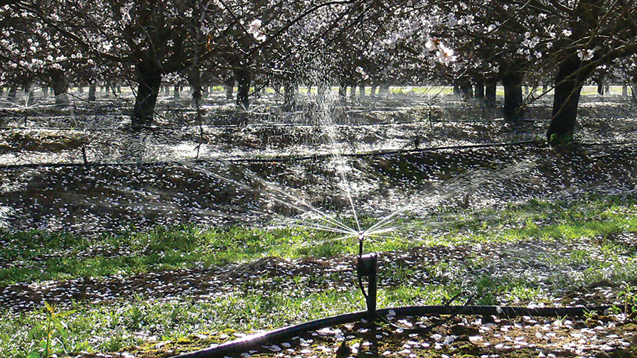 Almond farms in australia