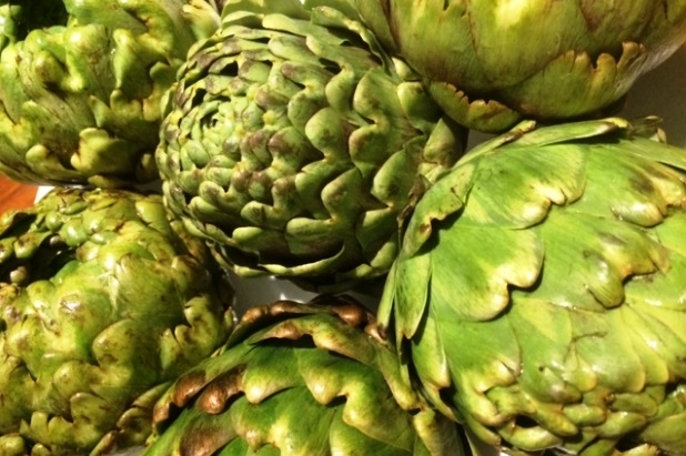 artichokes are popular in australia