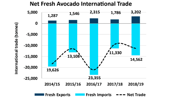 avocado international trade