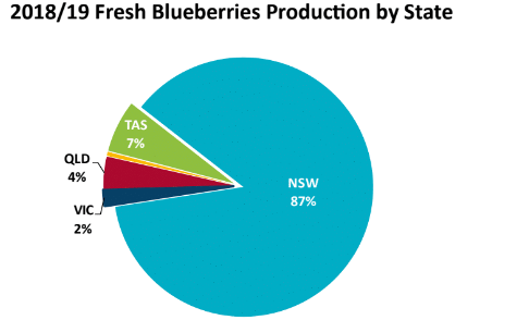 blueberries production by state