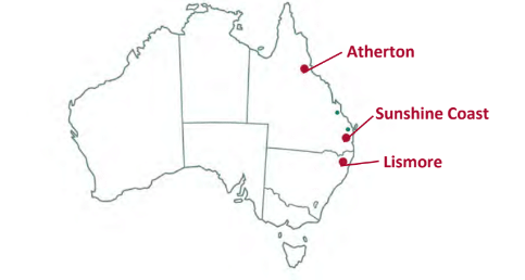 custard apples production by region
