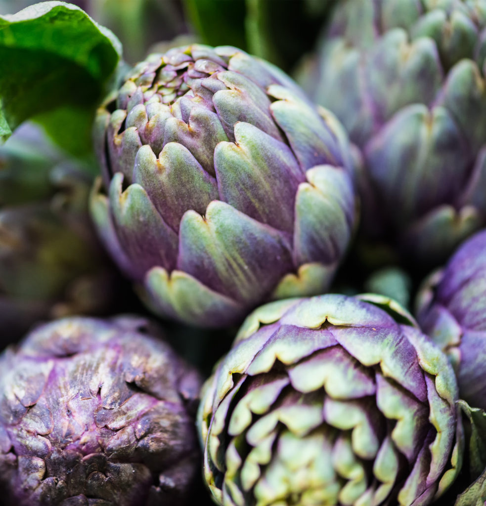 artichokes produced in australia