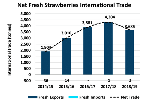strawberries international trade