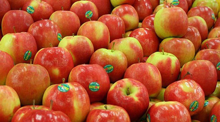 popular apples in australia