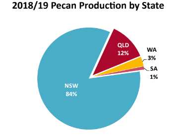 pecans production by state