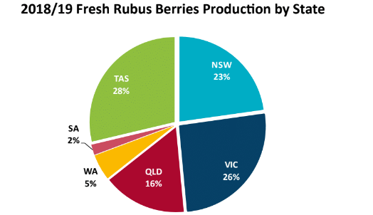 rubus berries production by region
