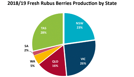 rubus berries production by region
