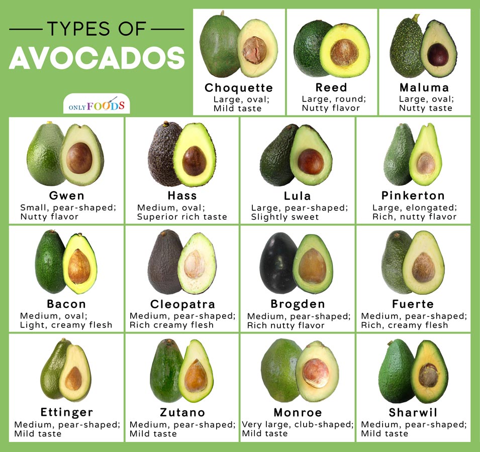 various types of avocados