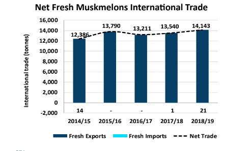 international trade of muskmelons
