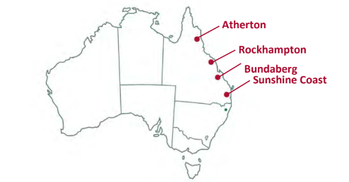 lychee production by state
