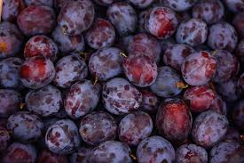 Plums are a popular fruit in Australia