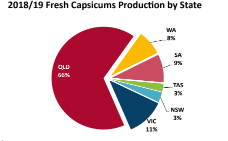 States Producing Capsicums in Australia