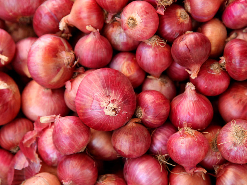 onions produced in australia