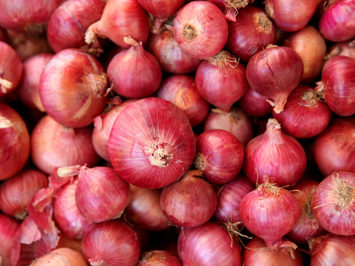 Onions Production in Australia (2019) Orchard Tech