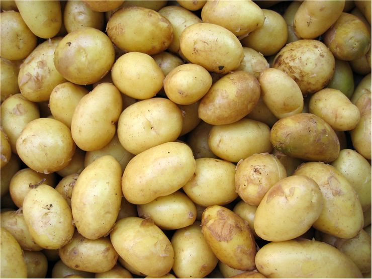 potatoes produced in australia