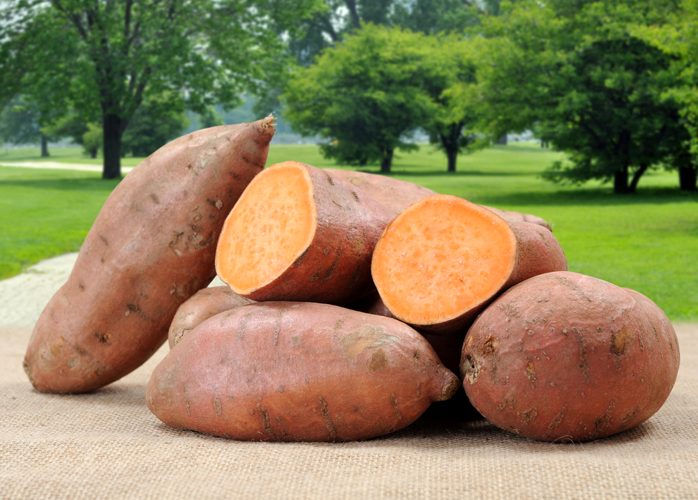Sweet potatoes in Australia (2019)