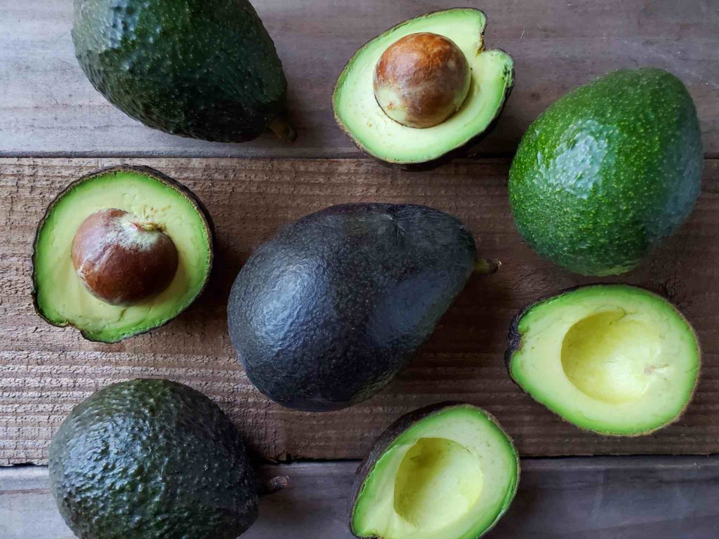 Avocado Overview and Growth in Australia (2020) Orchard Tech