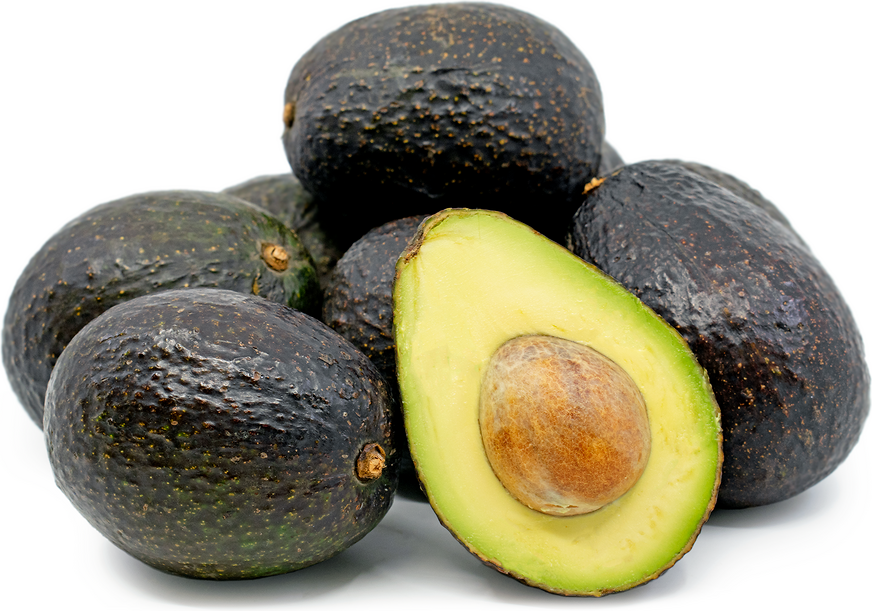 hass avocado available in Australia