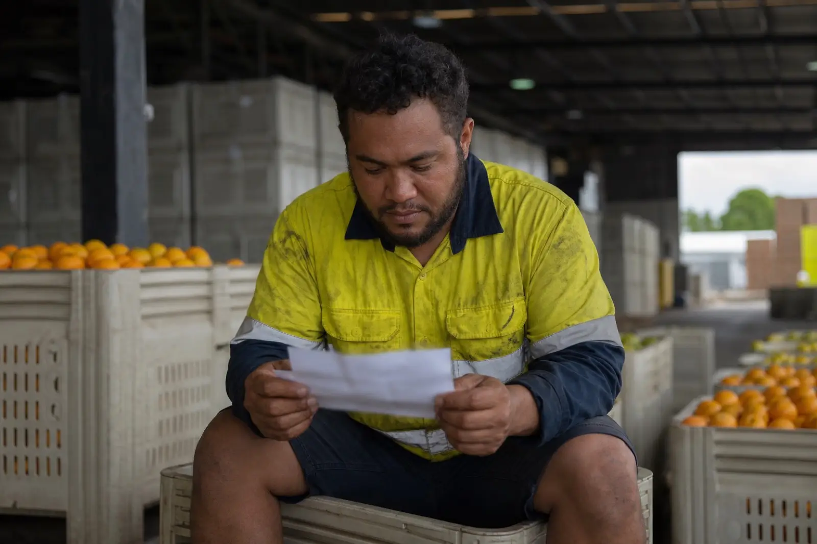 A farm worker in high-vis sitting on a crate looking at a paper payslip