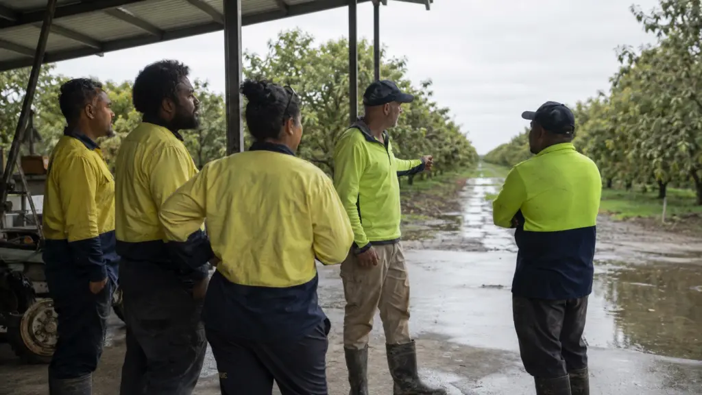 Floods, Storms and Interrupted Harvests: PALM Employer Responsibilities